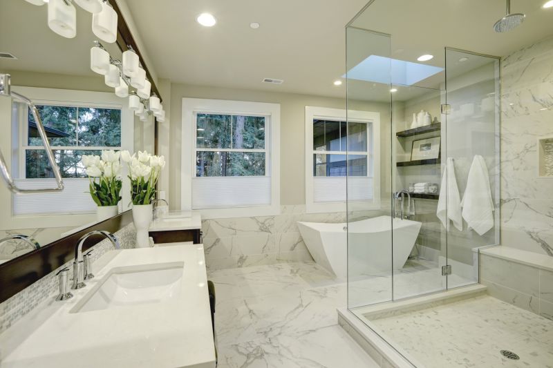 Elegant Tub to Shower Conversion